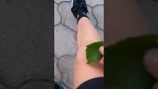 Доктор плющ 