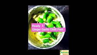 Ready to use 3G past #viralshort #viralvideo #3G Pest #mirchi tadka hub