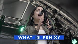 What is FENIX?