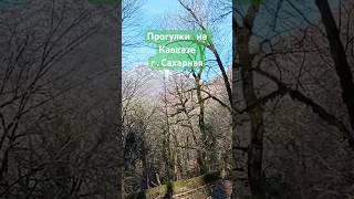 ️#прогулки #на #кавказ ️#сочи #национальныйпарк #горы #сахарная #тропа на #водопад Ажек #туризм