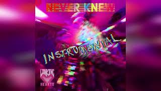 LinkingHearts - Never Knew (Instrumental)