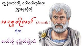 ပညာရပ်များစွာကို မျိုးစေ့ချပေးခဲ့သူ အရစ္စတိုတယ်