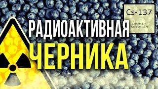   Радиоактивная Черника! [Олег Айзон]