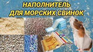 Наполнитель для морских свинок: опилки, гранулы, коврик ПВХ, флис – что лучше?