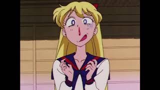 Minako wants to be a cat