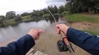 How to Catch Bully Mullet on FLY!