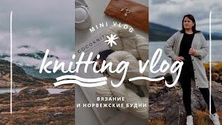 vlog 31/24 | готов мой шикарный базовый кардиган ️ выбираю пряжу на новые свитера с жаккардом