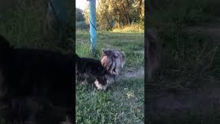 Не взяли поплавать)