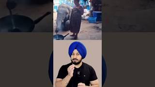 From Jungle to Kitchen – Elephant Becomes Mummy Ka Chef