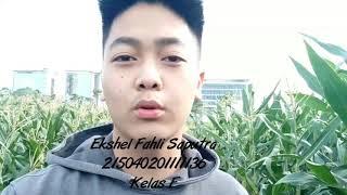 Vlog Ekologi Pertanian Ekshel Fahli Saputra / 215040201111136 (Kelas Agroekoteknologi - F)