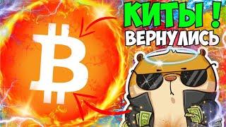 БИТКОИН НЕ ДАЙ СЕБЯ ОБМАНУТЬ!  BTC USD КАК РАБОТАЮТ КИТЫ? КАК ЗАРАБАТЫВАТЬ ВМЕСТЕ С КИТАМИ? БИТОК