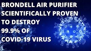 Best Air Purifier 2021