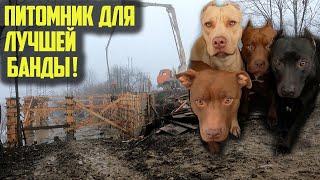 Строительство МЕГА питомника ПИТБУЛИ DRAGON LIFE !!! Игры кошек Легенды и Симбы