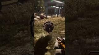 farcry 5