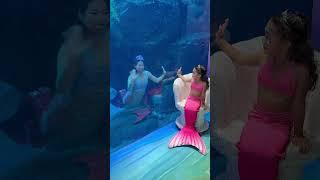 Seeda vaar karenge #edit #cute #trending #share #tiktok #instagram #reels #entertainment #duet #fyp