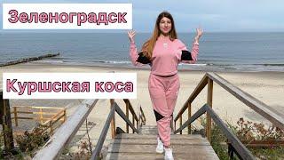 Калининград | Зеленоградск | Куршская коса 