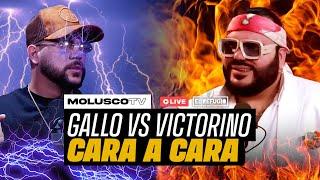 Gallo vs Victorino FRENTE A FRENTE por 1ra vez / Todos contra PINA / ¿Molusco Cmnista?