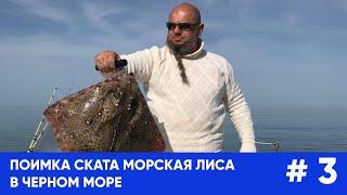 Поимка ската морская лиса в Чёрном море.