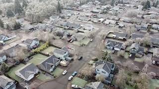 Ice Storm Aftermath in Dallas OR