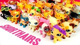 All My LPS Shorthair Cats! [UPDATED]