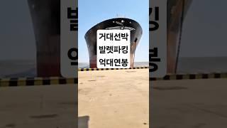  거대 선박 발렛파킹하는 사람들? '도선사'의 극한 직업 #상식 #잡학 #직업 #도선사 #정보 #전문직