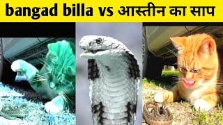 bangad billa vs astin ka saap / bagad billa new comedy video full #rosting #bagadbilla