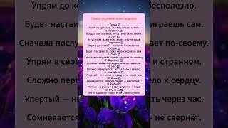 Самые упрямые знаки зодиака  #знакизодиака #гороскоп #астрология