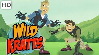 Songtext: Wild Kratts (englische sprache)