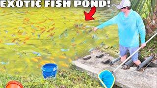 I Found a Secret Pond FILLED With AQUARIUM FISH!