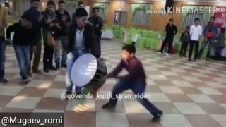 курдская свадьба в Курдистане kurdish wedding in Kurdistan kurdish dance govend гованд