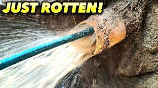 EXPLOSIVE & Rotten Blocked Drains (Not for Weak Stomachs) 6 Drains!