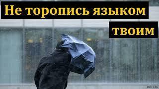 "Значение речи в жизни человека". В. В. Иванов. МСЦ ЕХБ