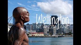 A day in the Capital Wellington, New Zealand Aotearoa