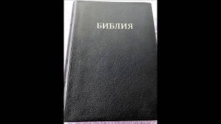 Russian Bible - Vinylbound Ukrainian Bible Society