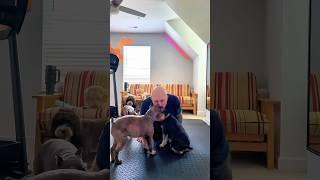 Puppy Yoga: Is It Worth the Fur in Your Face?