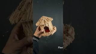 Waste Coconut Husks recycle #shorts #diy #viral #youtubeshorts #trending #crafts #homedecor