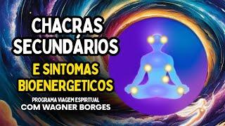 CHACRAS SECUNDÁRIOS E SINTOMAS BIOENERGETICOS