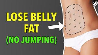 EASY WORKOUT TO LOSE BELLY FAT AT HOME - BEGINNER, NO JUMPING