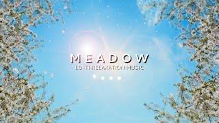  LoFi Relaxation Music for Travel | Meadow (30mins)