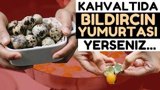 Bıldırcın Yumurtasının Bilmediğiniz 11 Faydası | Bıldırcın Yumurtasının Faydaları Nelerdir?