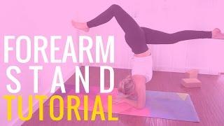 Forearm Stand Tutorial | Yoga Forearm Stand for Beginners