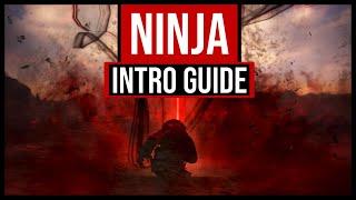 Bdo Ninja succession ~ Intro guide 2020