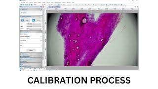 Calibration in ImageView. Measurement in microscopic images.#bestscope #microscope #microscopicimage