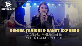 Denisa Tanigoi & Banat Express - Colaj Ardelene LIVE  Nunta Oana & George ● NOU 2024