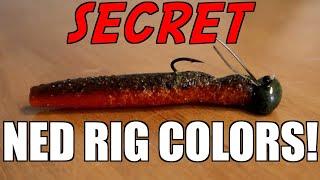 4 TOP SECRET Ned Rig Colors You NEED To Have!