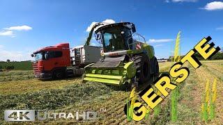 Gerste - GPS (Ganzpflanzensilage) mähen, schwaden, häckseln und silieren!  ROHLFING 2021 4k UHD