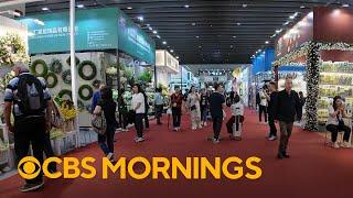How President Trump's tariffs are impacting business in China