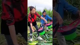 People in our country work standing up but people in China don't #tranding