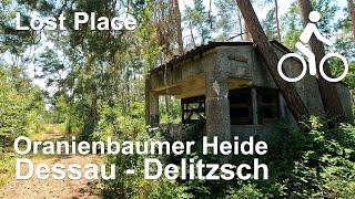 Radtour von Dessau nach Delitzsch durch die Oranienbaumer Heide | Waffenfabrik Kapen Lost Place | 4K