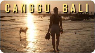 Die SCHATTENSEITEN des Hypes • CANGGU BALI (Indonesien Reise Backpacking)